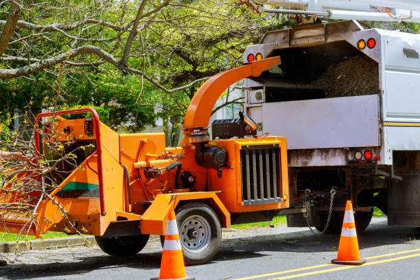 Best Leaf Removal  in Fulton, IL